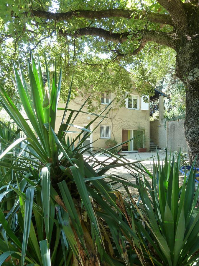 Saint-Uze Kergio B&B 외부 사진